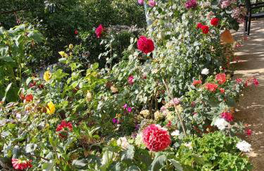 ΚΑΛΟΣΚΟΠΗ Luxury House - Foto 30