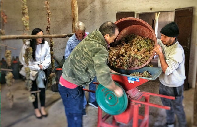 Fattoria Santa Vittoria Apartment "lepre" - Foto 37