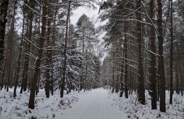 Ferienhaus Erna - Foto 54