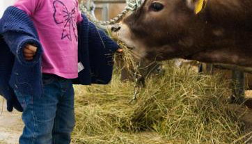 Apartments Oberpichlhof - Foto 5