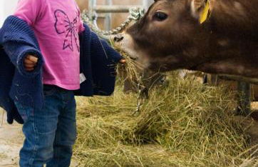 Apartments Oberpichlhof - Foto 5