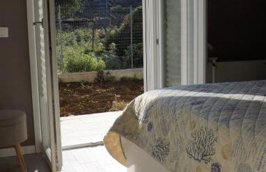 I due carrubi - Foto 39