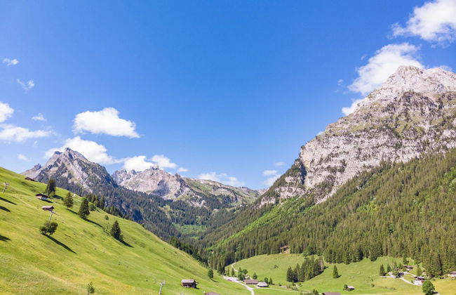 Berg Herz Grimmialp (Schwenden) - Foto 42