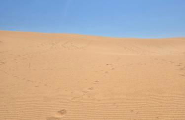 Golden Dune View - Foto 24