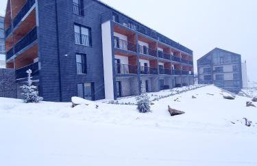 Apartament Szyszka Izerski Resort - strefa z sauną - Foto 31