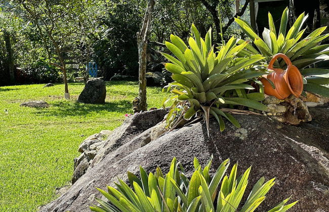 Sítio Morada do Pai com Sinuca e Piscina - Canelinha - SC - Foto 39