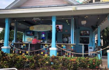 My Home in Orlando - Foto 55