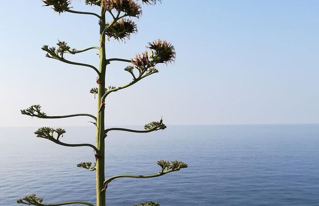 Ines Apartment - Photo 35