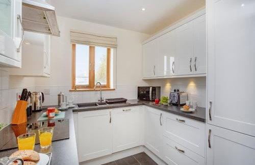 Kingfisher - Photo 8