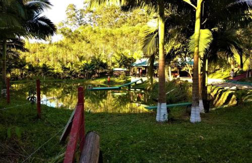 Sitio Libardo em Meio a Natureza - Nova Trento - Foto 76