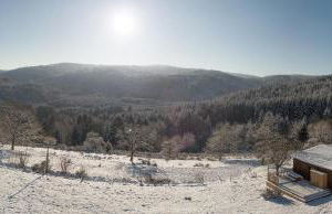 Chalet Panorama - luxe en altitude dans les Vosges - Foto 36