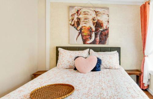 The Skis Knees - Foto 16