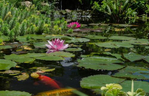 Casona Del Duende - Foto 38