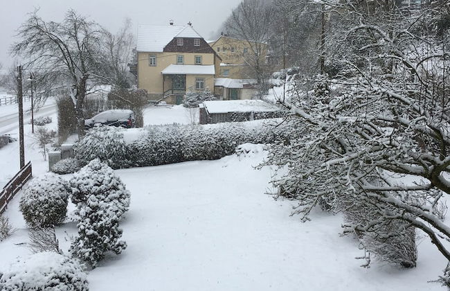 Ferienhaus Elbufer 83 - Foto 43