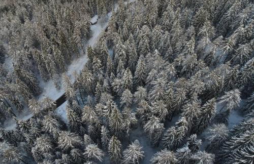 Casa del Roccolo - Photo 27