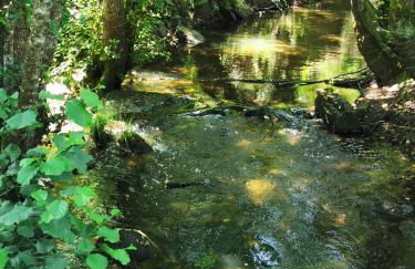 O Refúgio - Foto 60