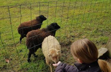 La grange de Victor 12/14 pers - Mont-Saint-Michel - Foto 48