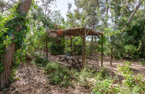 Las Pedrizas - Foto 24