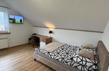 Apartament z tarasem i pokoje KLIMATYZOWANE -Drozdówka Solina - Foto 68