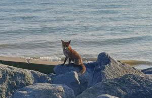 Rūm by the beach - Foto 57