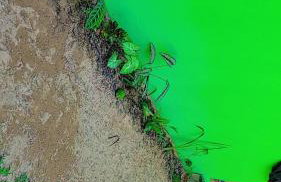 Parati Pousada kadoshi - Foto 36