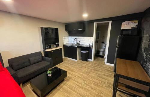 New Midtown Modern Studio With Backyard (Unit B) - Foto 28