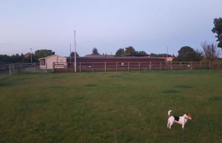 The Cabin @Tenacre - Foto 11