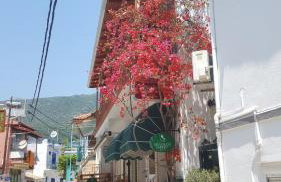 Marthas Studios - Foto 1