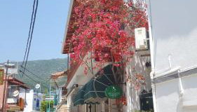 Marthas Studios - Foto 1