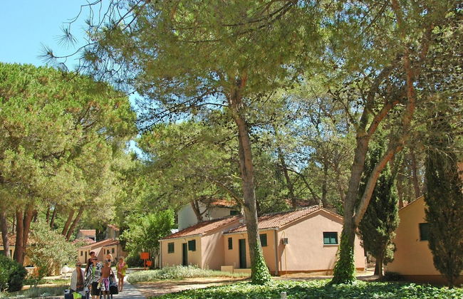 Apartments in Zaton With Pool - Foto 30