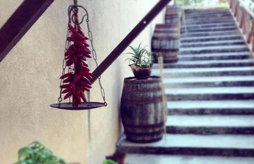 Agriturismo biologico 'A Lanterna - Foto 25