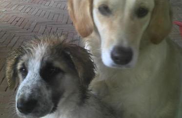 Agriturismo Cascina Maiocca - Foto 49