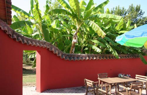 Terry Land Village - Foto 59