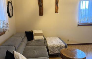 Chata z Kominkiem - Drozdówka Solina- 6-9-2-2-8-1-3-6-3 - Foto 7