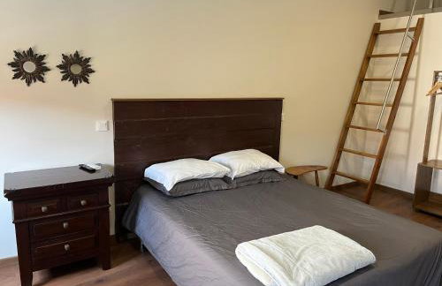 Risoturismo-Solar de São João - Guest House - - Foto 10
