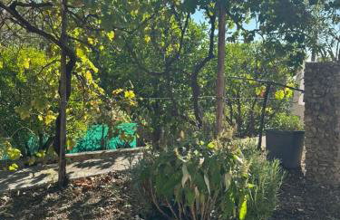 La Cabane du Soleil - Foto 8