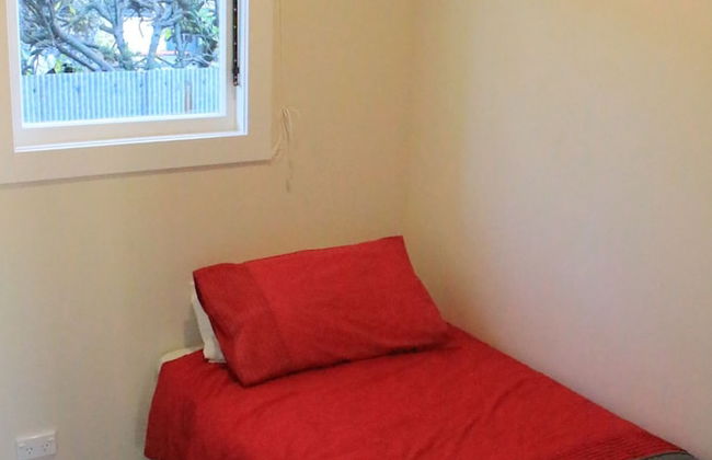 The Green Gecko - Foto 6