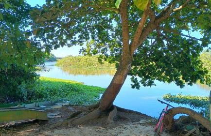 Suites da meninas - Foto 16