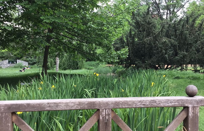 Euro Apartments Lidická 39 Brno - Foto 51