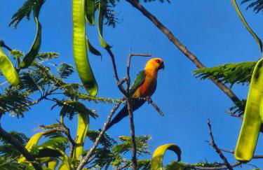 Sobrado do Barão da Barra - Photo 43