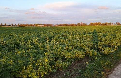 Apartment "Paris" - Photo 74