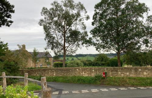 Little Foxes - Photo 37