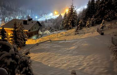 Cerla Korbielów - Domek dla Dwojga - Foto 26