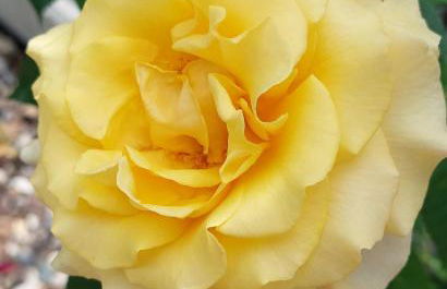 Marlingsuites - Vinea - Wieser Josef - Marling - Foto 50