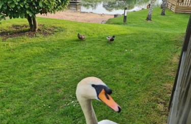 4 Bed Luxury Lodge with Hot tub near Lake District - Foto 70