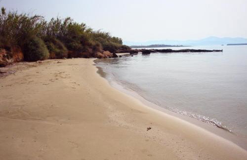 Blue & Sea Studios Apartments - Photo 58