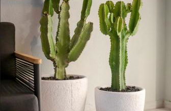 ALTAMIRA FAMILY APARTMENT El Duque - Foto 22