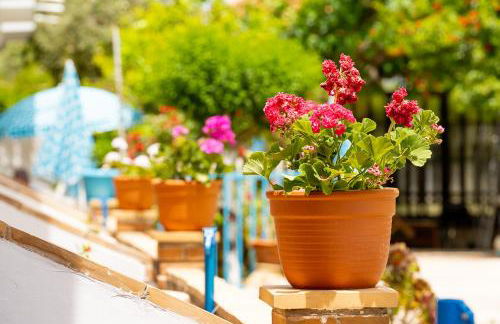 Asteri Studios - Photo 32