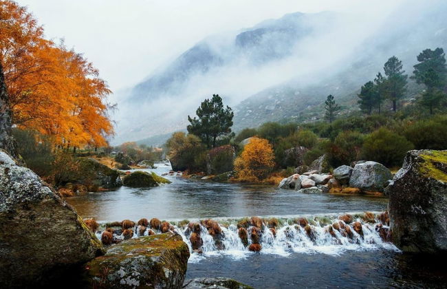 Fonte D Rosa - Belmonte - Foto 13