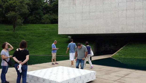 Escursione all'Istituto Inhotim - Foto 4